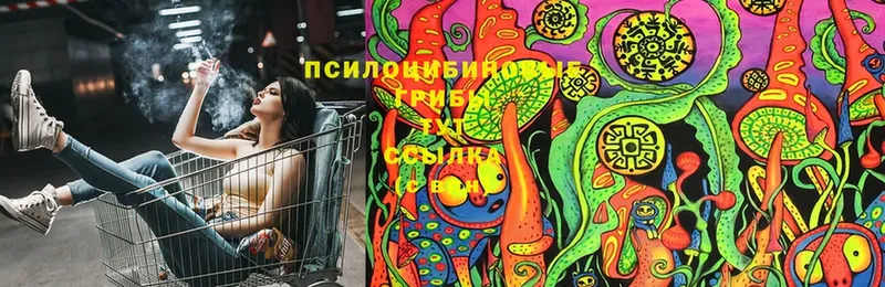 Псилоцибиновые грибы GOLDEN TEACHER  где продают наркотики  Байкальск 